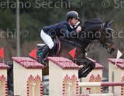 Schmid Coco Chanel TosTour 2013- S4 6975 : Arezzo Equestrian Centre, Coco Chanel, Schmid Maximilian, Toscana Tour 2013, foto di Stefano Secchi ©